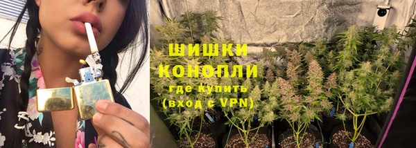 бошки Аркадак