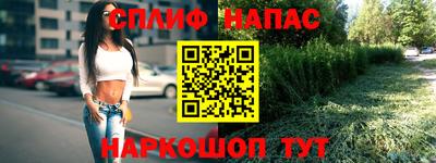 ECSTASY Заводоуковск