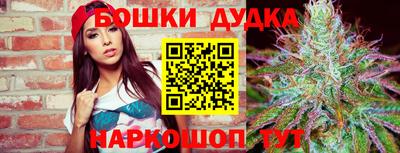 гидра Жуковский