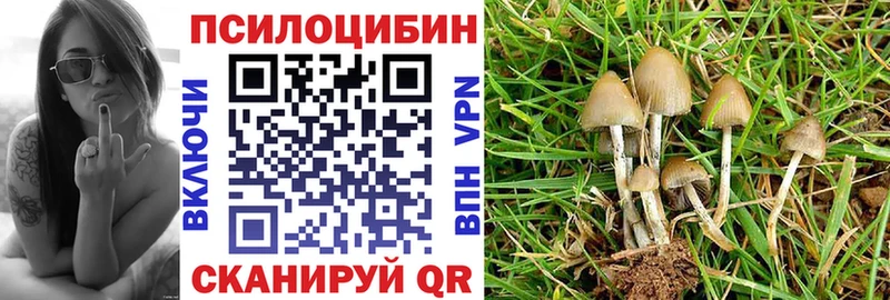 цена наркотик  Люберцы  Галлюциногенные грибы ЛСД 
